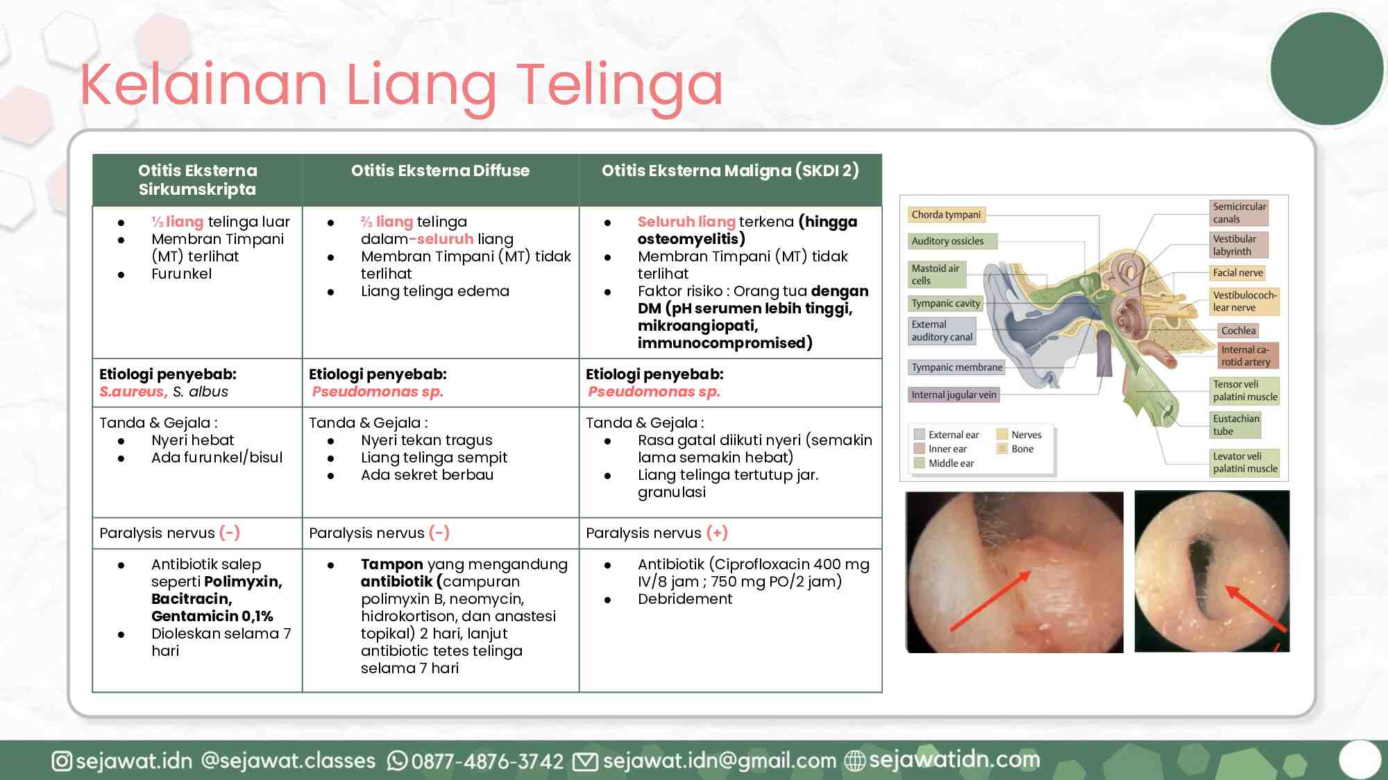 [agustus-2024]-kelas-internship_primary-care-1-729